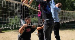 spart_svid (12)