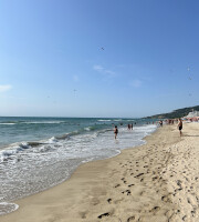 IMG_0568